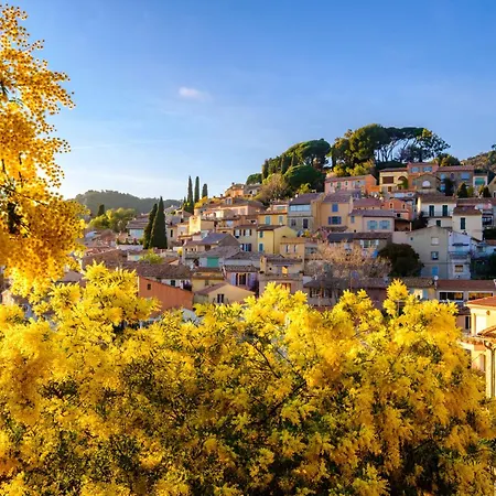 Resedas By Interhome Bormes-les-Mimosas